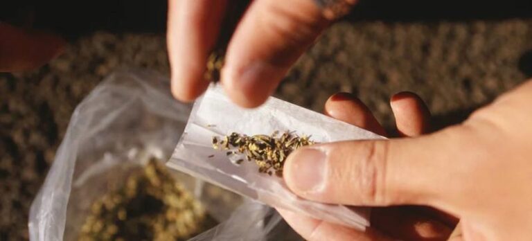 Czy palenie trawy w ogrodzie to dobry pomysł? Sprawdź, zanim zdecydujesz!