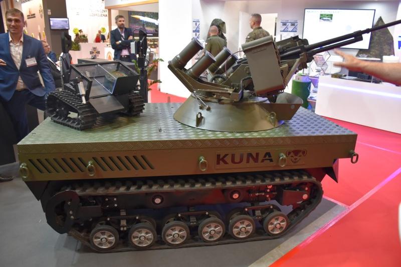 Naturalne sposoby na kuny