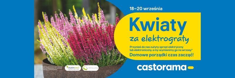 Warunki uprawy wrzosów