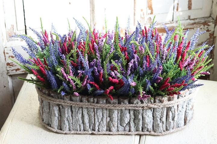 Zalety i korzyści zdrowotne wrzosów