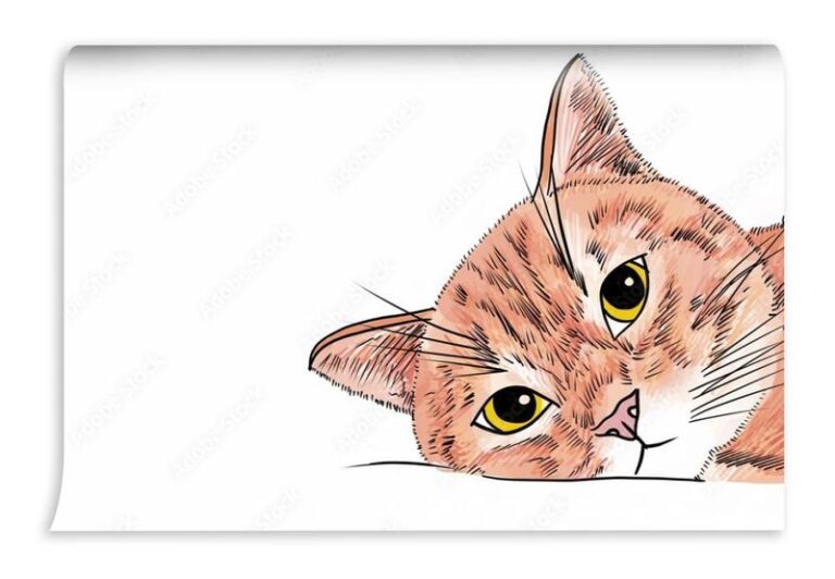 Malowanie kota farbami – krok po kroku do artystycznego dzieła