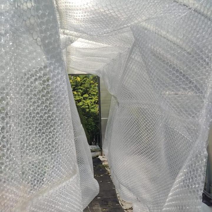 Skuteczne metody na ocieplenie szklarni – jak poprawić temperaturę w uprawach?