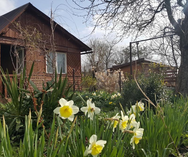 Budowa domu na działce użyczonej