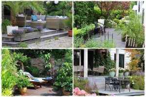 Rośliny, które idealnie sprawdzą się na słonecznym tarasie