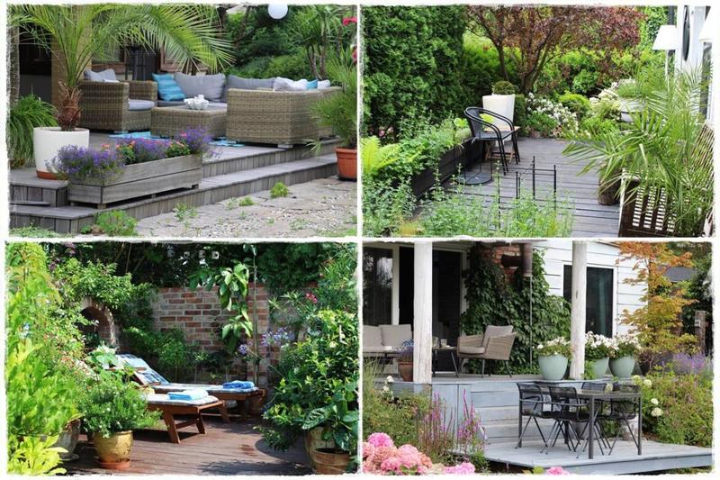 Rośliny, które idealnie sprawdzą się na słonecznym tarasie