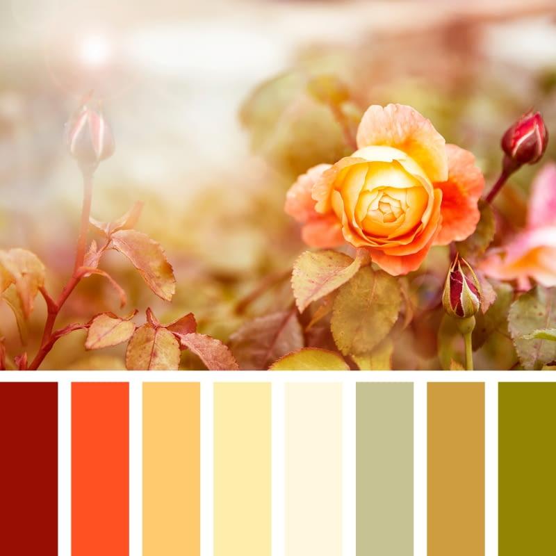 Ciepłe kolory w aranżacji wnętrz