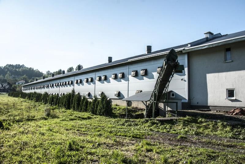 Koszty budowy fermy drobiu