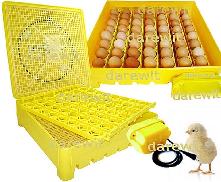 Podstawowe materiały do budowy inkubatora