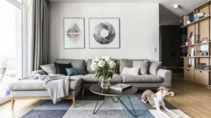 Jaki dywan kupić, by odmienić wnętrze twojego domu?