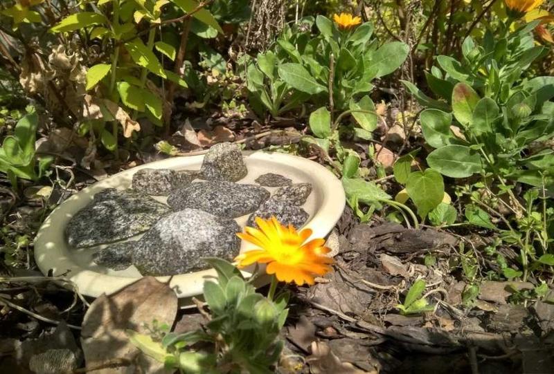 Instrukcja montażu poidła dla gryzonia