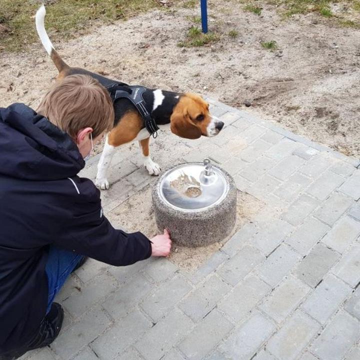 Rodzaje poidełek dla chomika