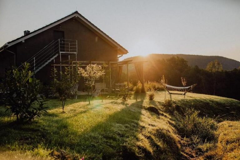 Czy na łące można wybudować dom? Oto wszystko, co musisz wiedzieć!