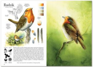 Sztuka malowania: jak efektywnie korzystać z farb akwarelowych w tubkach