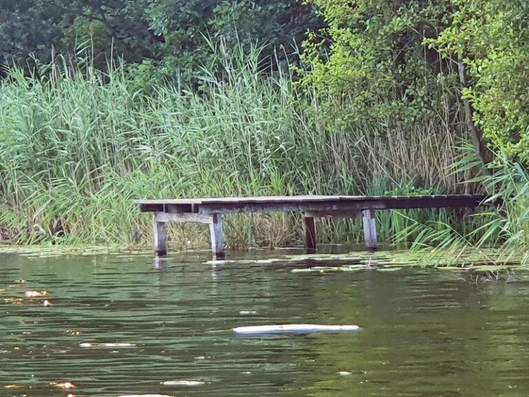 Zainspiruj się: jak stworzyć idealny pomost wędkarski na swojej działce