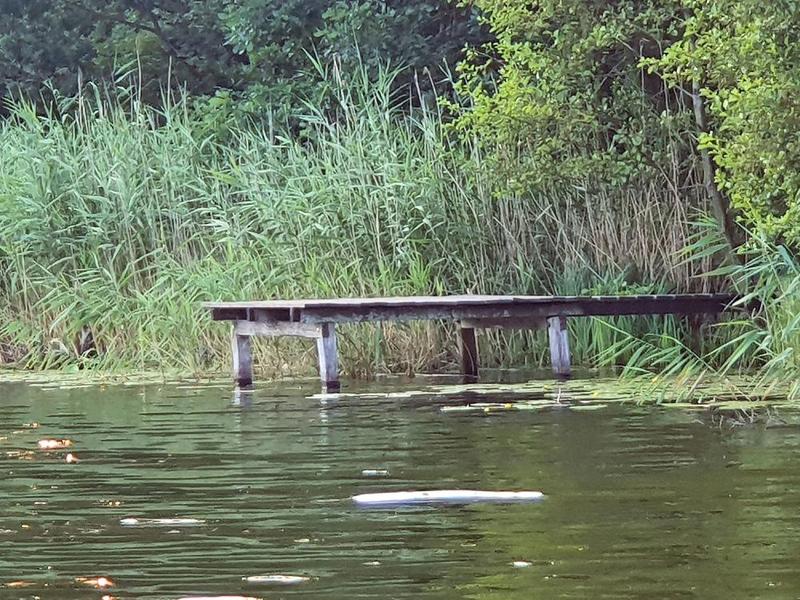 Zainspiruj się: jak stworzyć idealny pomost wędkarski na swojej działce