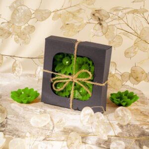 Zielone inspiracje: co posadzić w ogrodzie przed domem, aby zachwycał wyglądem?