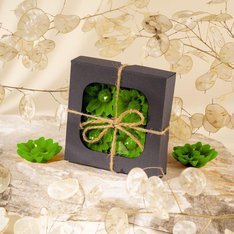 Zielone inspiracje: co posadzić w ogrodzie przed domem, aby zachwycał wyglądem?